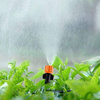 Dysza regulowana pojedyncza - zraszacz - Kroplownik do systemu nawadniania roślin